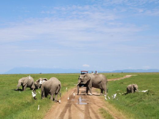 IMG_0279-scaled-e1729847379127