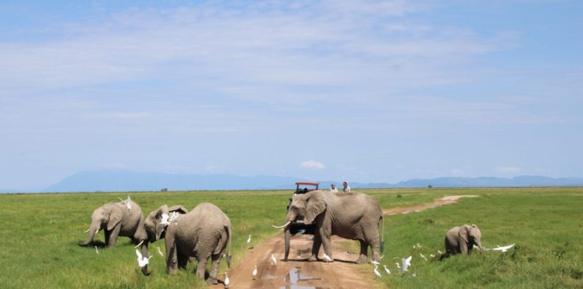 IMG_0279-scaled-e1729847379127