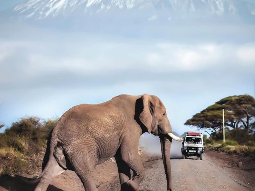 Photo by @davidmrule“A typical traffic jam in Kenya. I miss these mornings so much. Looking back