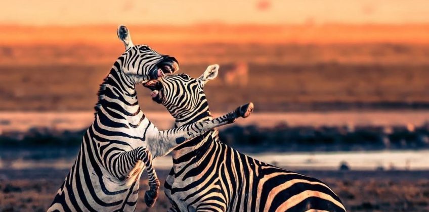 Photo by @rballphoto