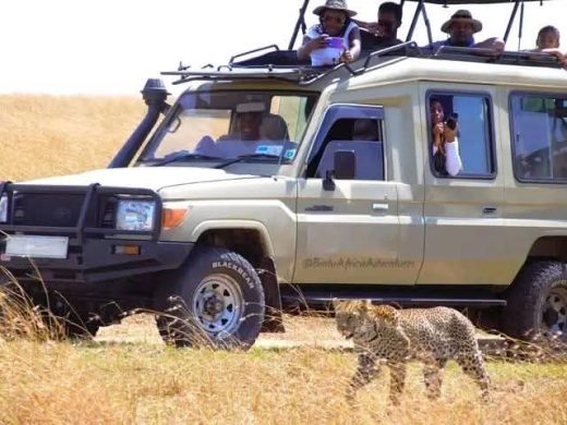 WhatsApp Image 2026-01-21 at 9.32.38 PM (1)