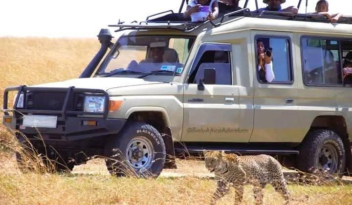 WhatsApp Image 2026-01-21 at 9.32.38 PM (1)