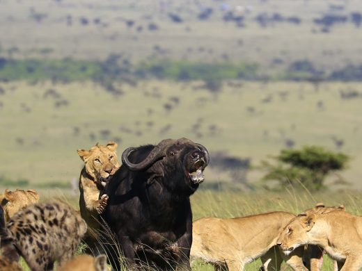 WhatsApp Image 2026-01-21 at 9.32.59 PM