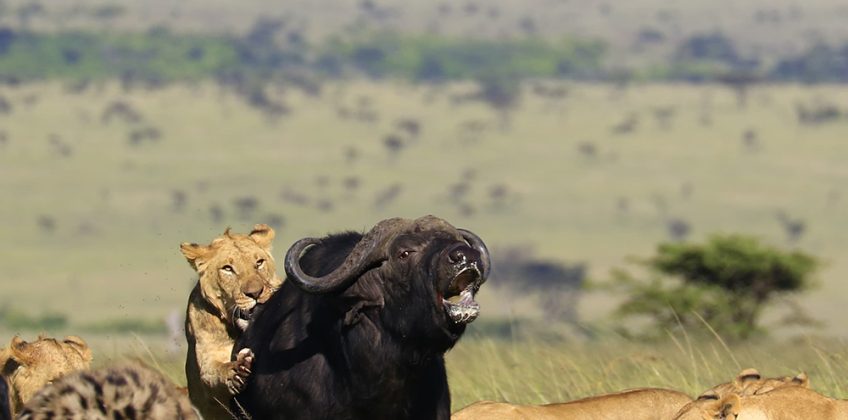 WhatsApp Image 2026-01-21 at 9.32.59 PM