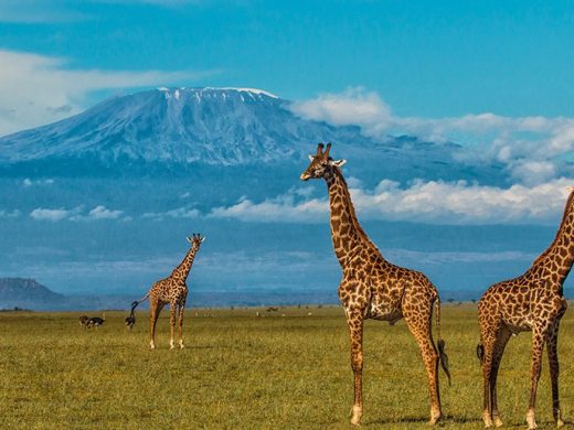 aaaaa-e1582132599517