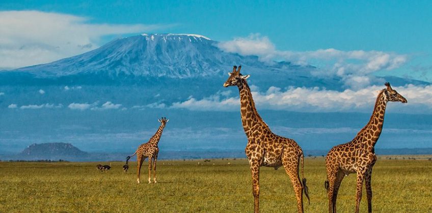 aaaaa-e1582132599517