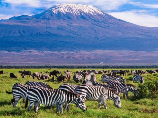 amboseli-np-582×393-1