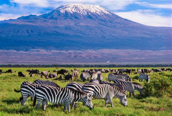 amboseli-np-582×393-1