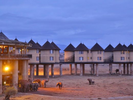 salt-lick-safari-lodge