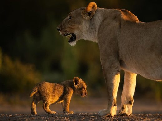 some-great-encounters