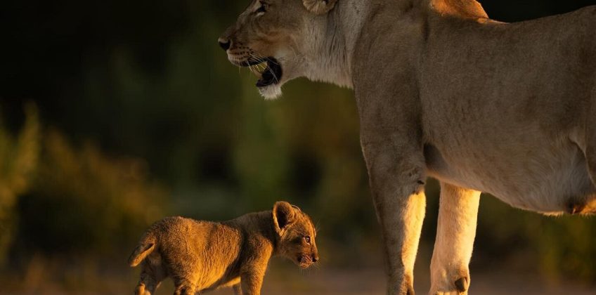 some-great-encounters