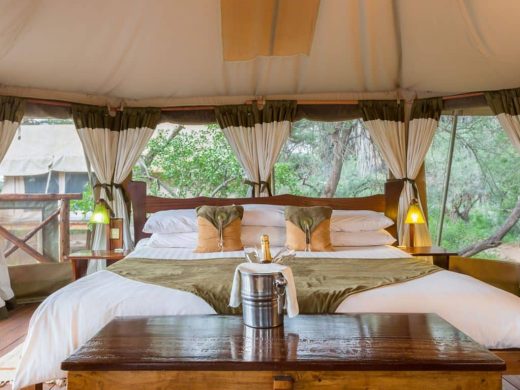 micatosafaris_95061901_v2-1200×767